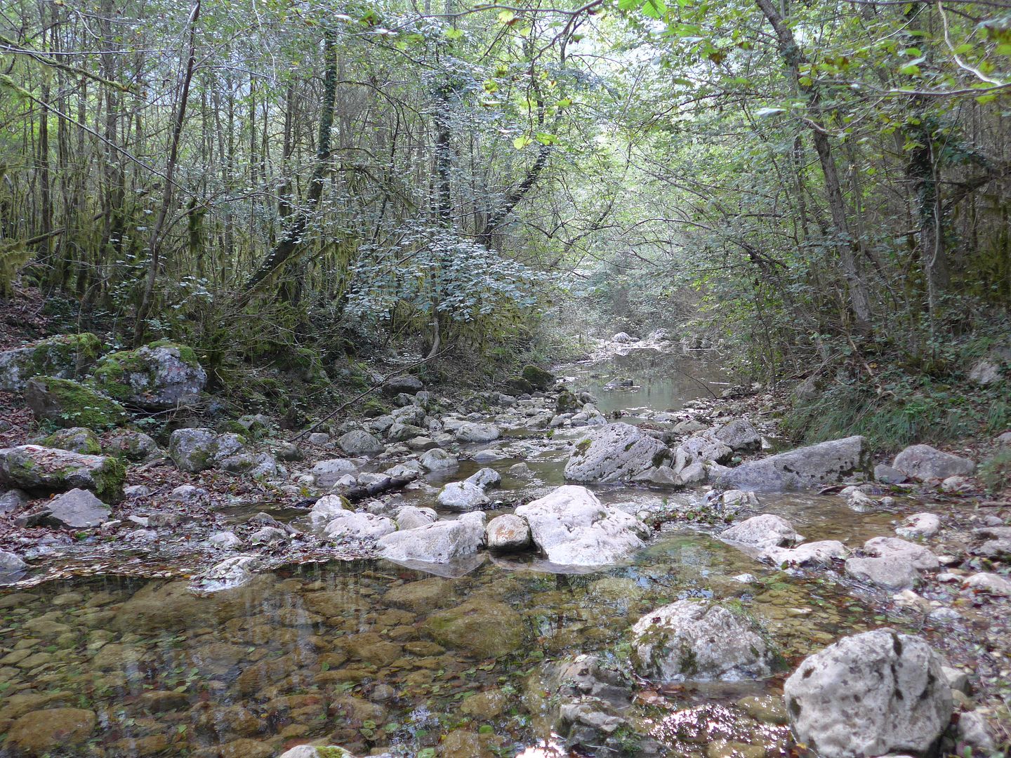 photo P1020719 Riera de la Comella.jpg