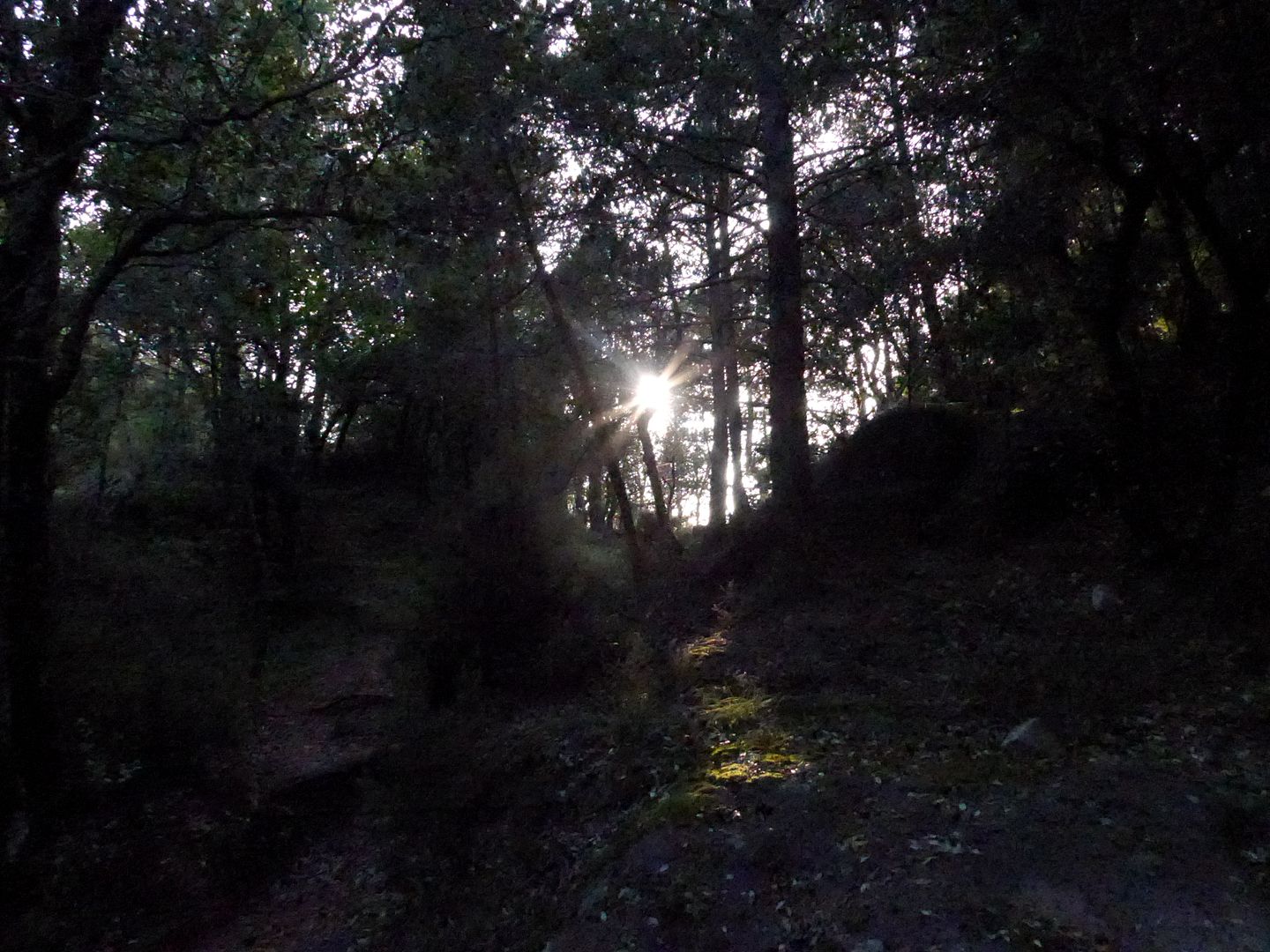 photo P1020731 Coll Roig.jpg