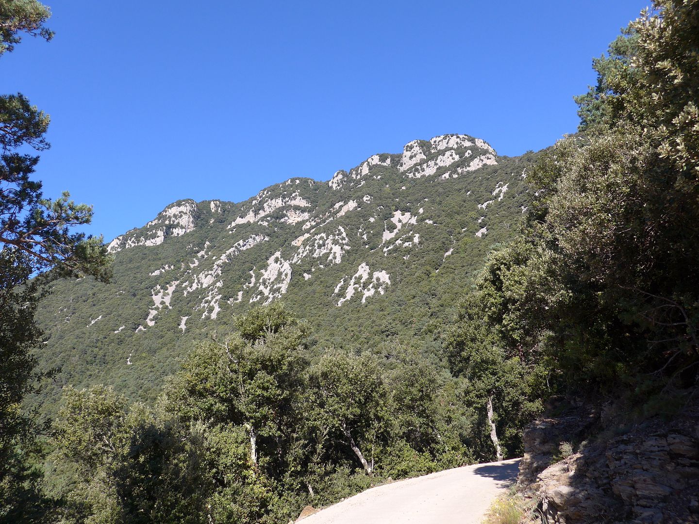 photo P1020776 Puig Escaleroacute.jpg