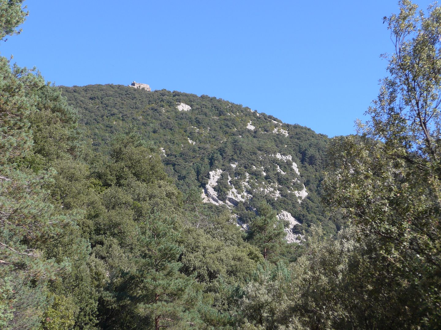 photo P1020778 Sant Joan de Mussols.jpg