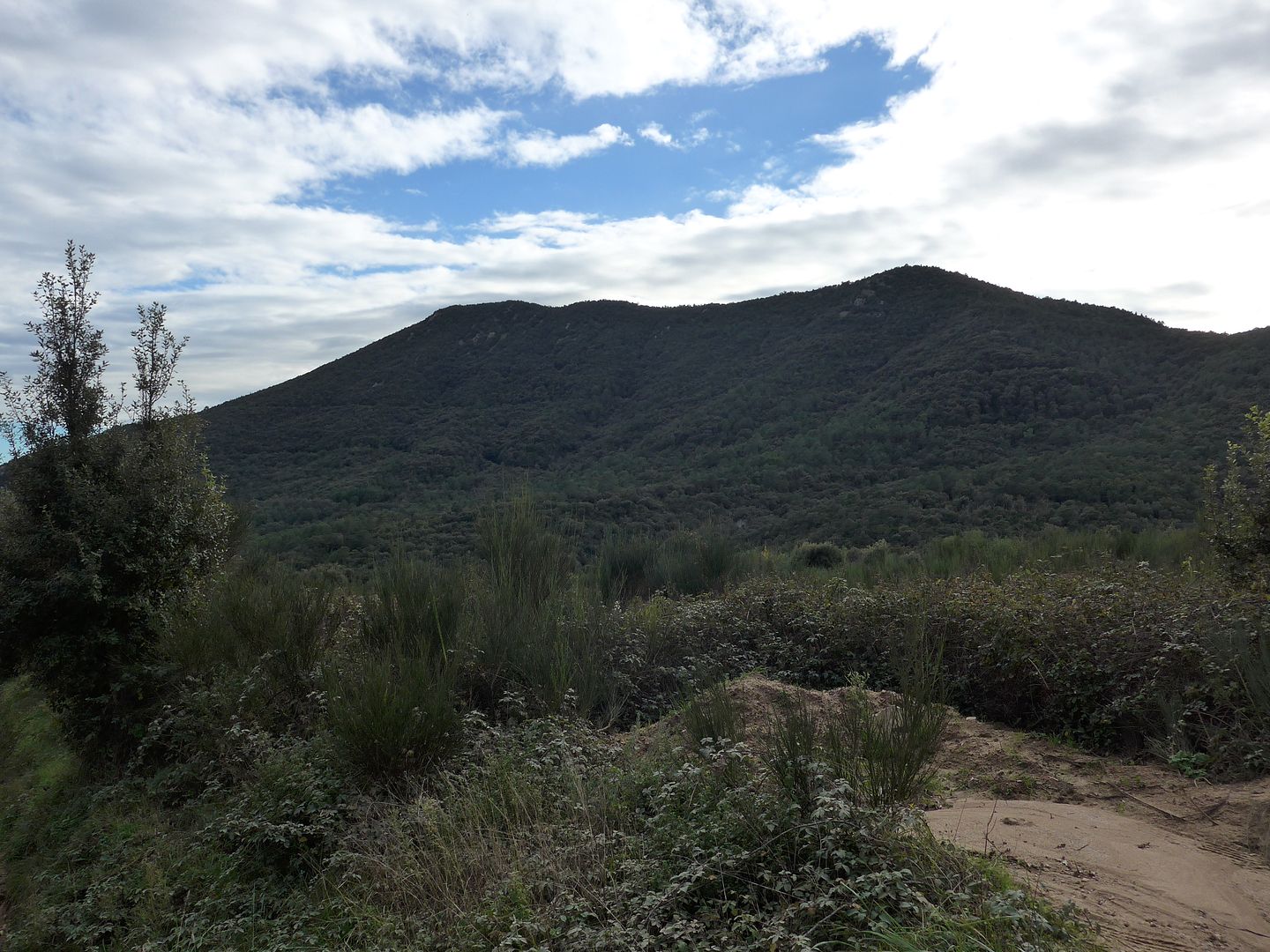 photo P1030576 Puig de la Creu Montdavagrave.jpg
