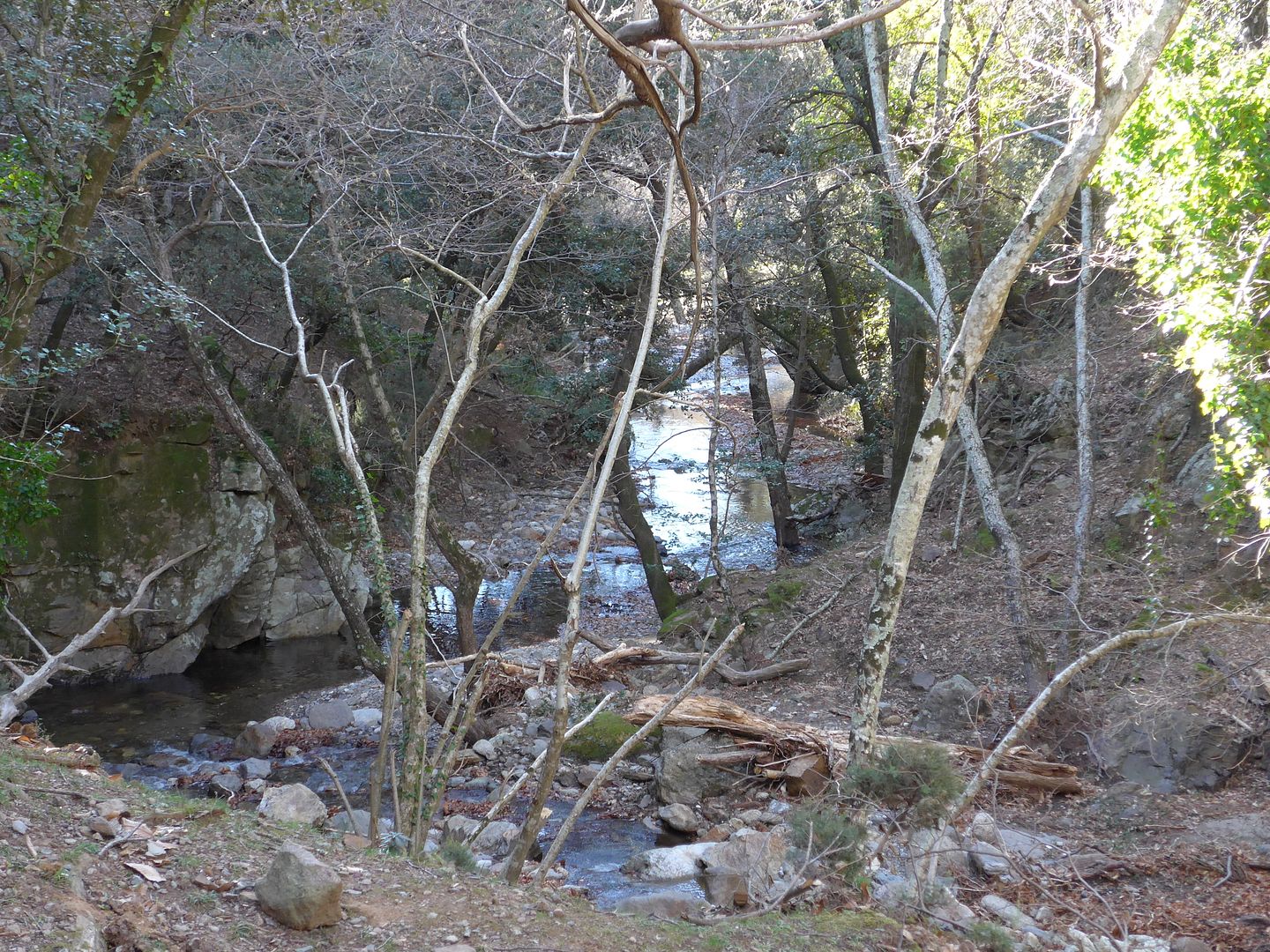 photo P1030829 Torrent de Cal Pregon.jpg