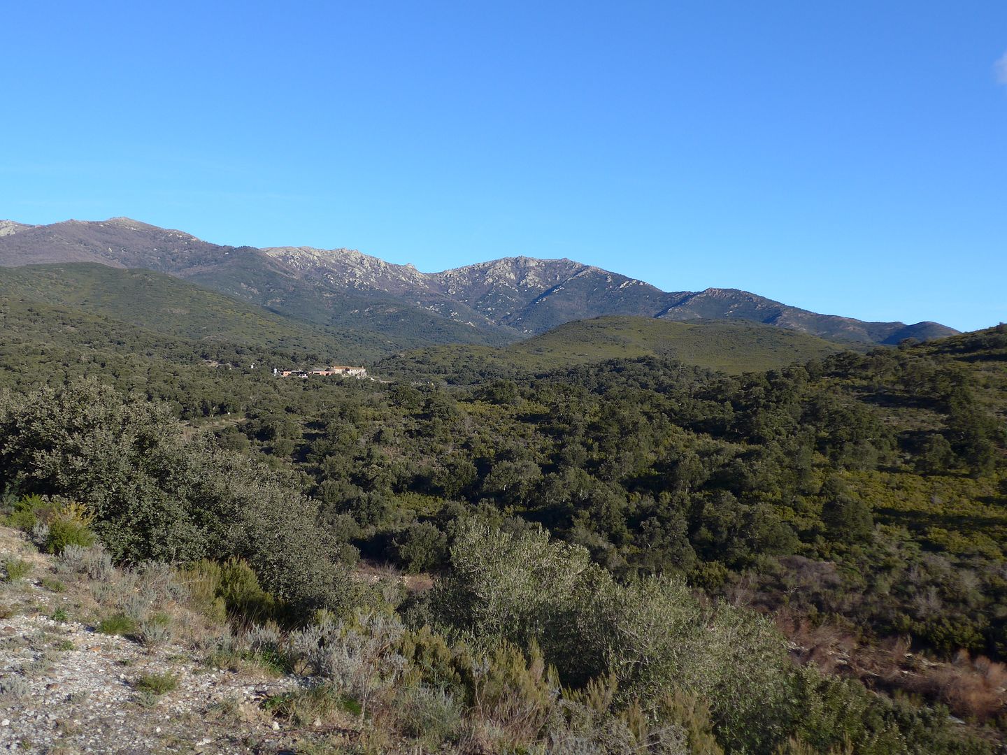 photo P1030942 Puig Grosser Puig dels Quatre Termes la Carbassera.jpg