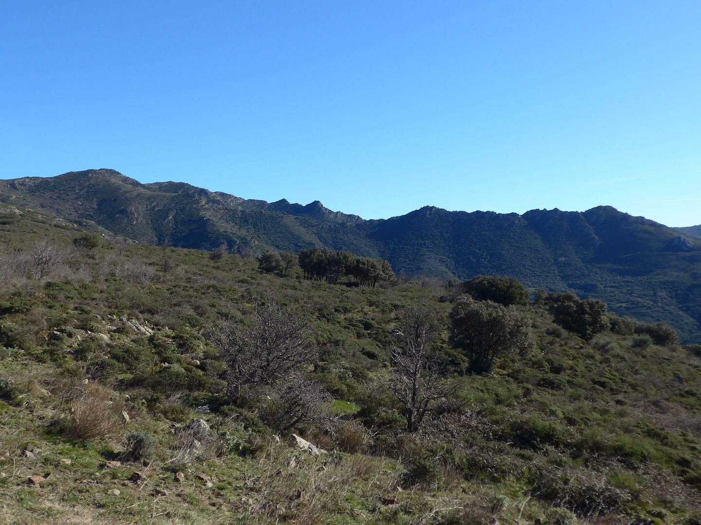 photo P1030968 Serra de la Balmeta des del Coll de la Plaja.jpg