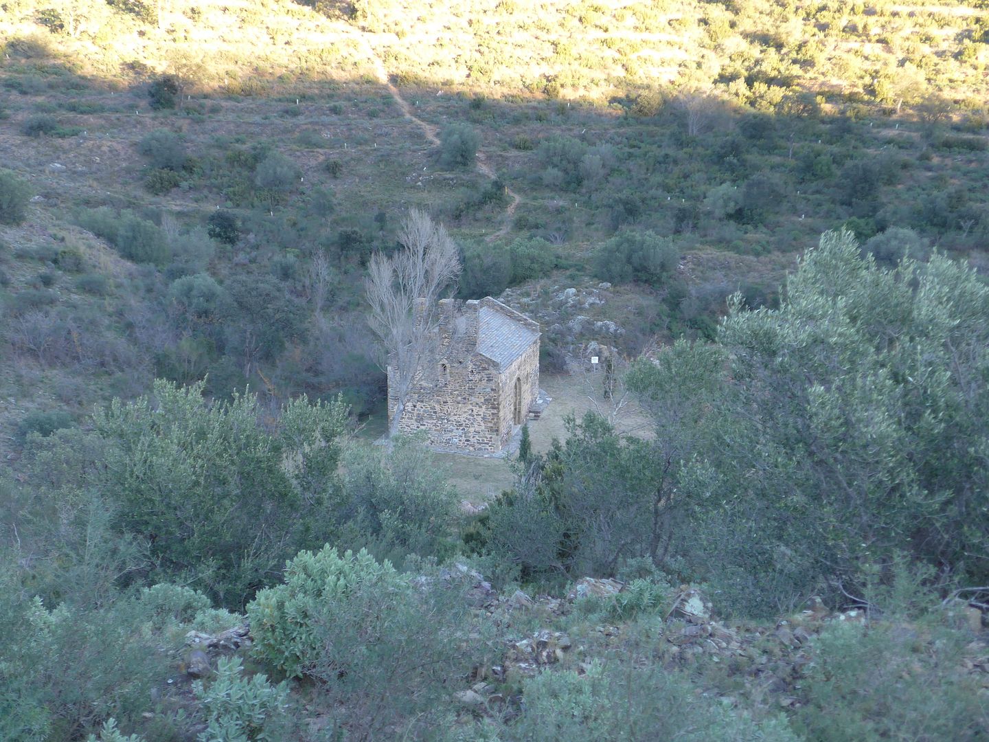 photo P1040072 Sant Silvestre de la Valleta.jpg