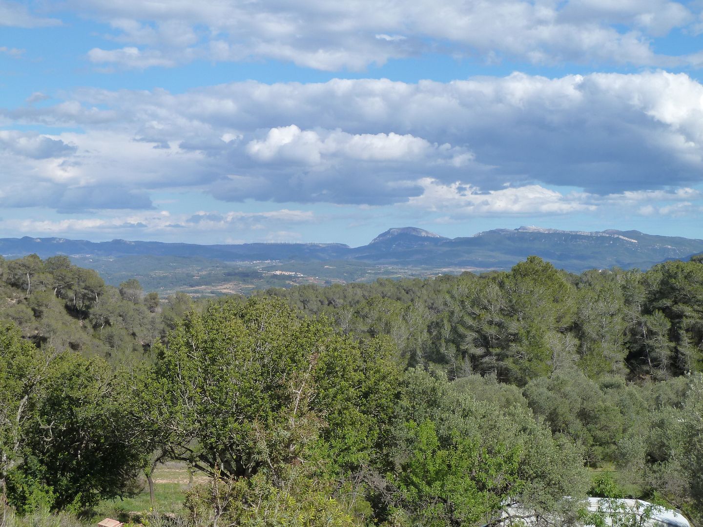 photo 2013-03-28-109ColldejouLlaberiaiPrioratdesdelsRoianos.jpg