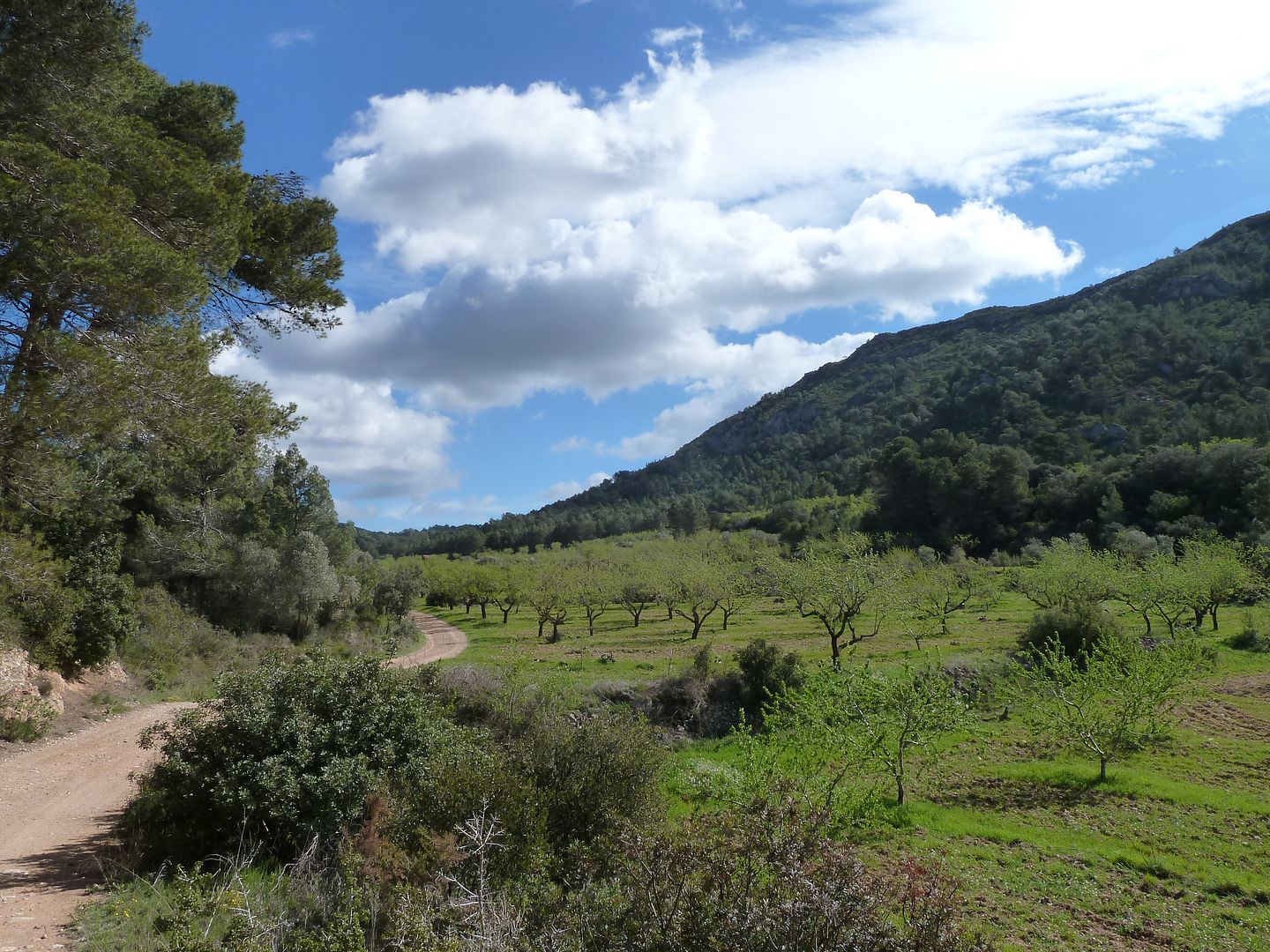 photo 2013-03-28-21ValldeCarruves.jpg