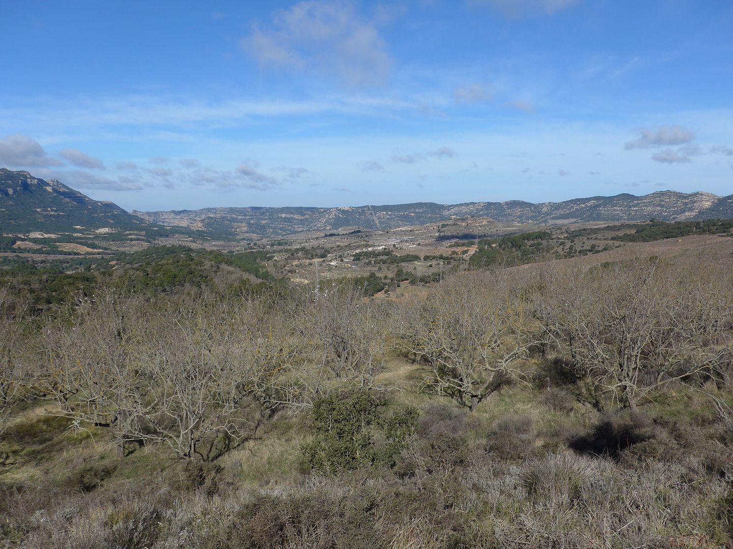photo P1050622 Serra de la Llena.jpg