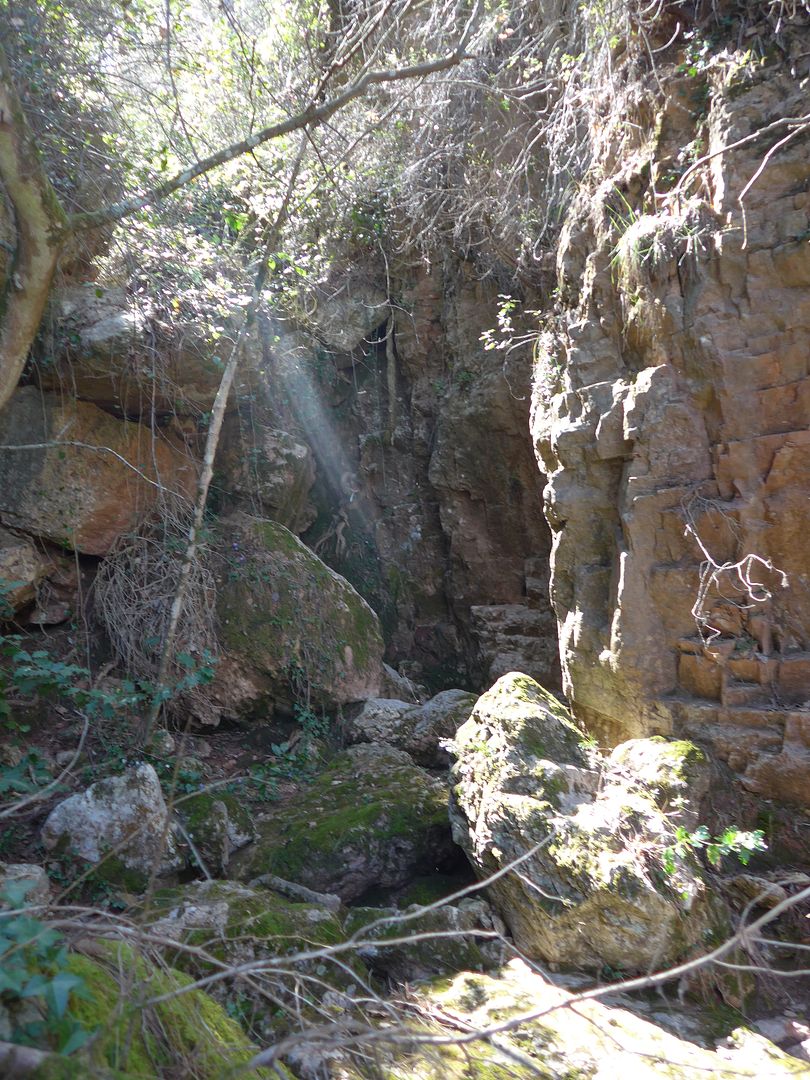photo P1050755 Barranc de la Vall.jpg