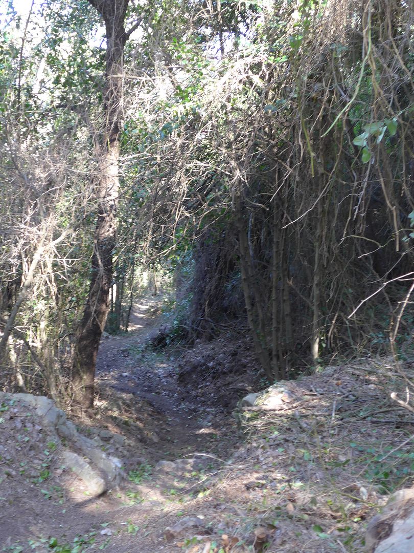 photo P1050757 Barranc de la Vall.jpg