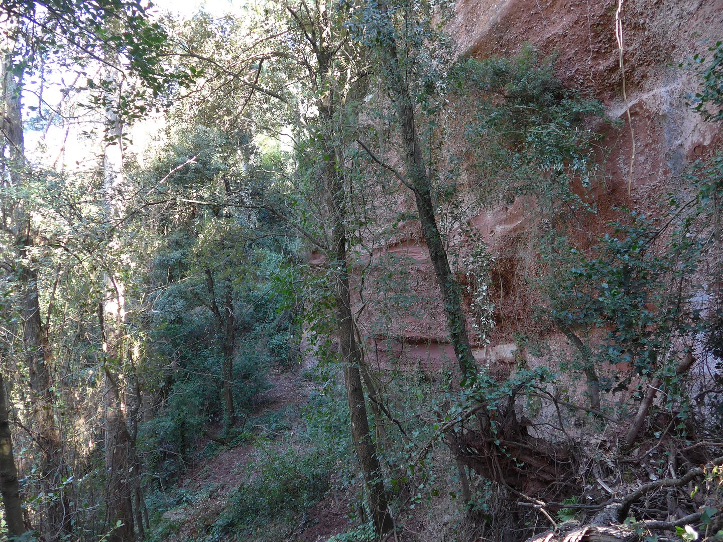photo P1050760 Barranc de la Vall.jpg