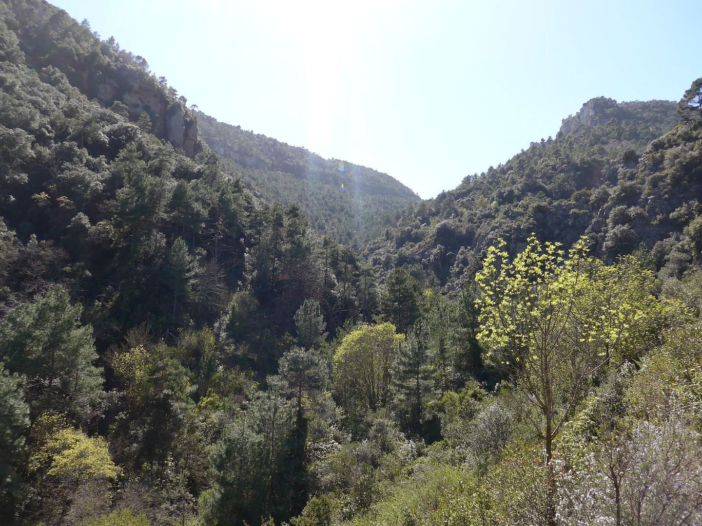 photo P1050768 Barranc de la Vall.jpg