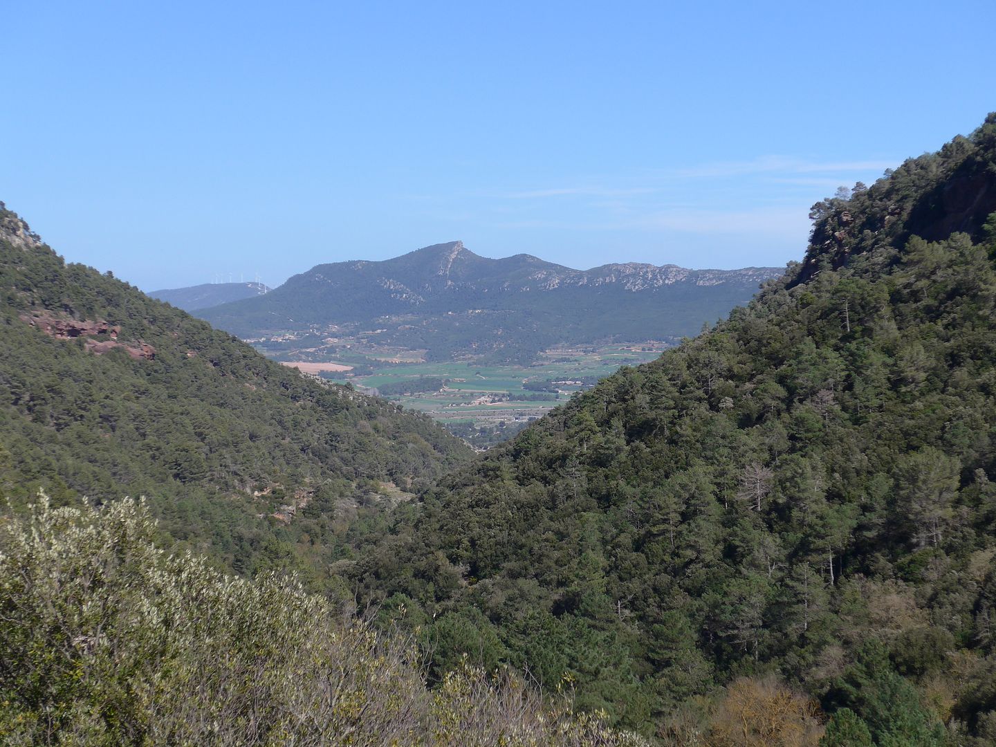 photo P1050772 Barranc de la Vall Serra Carbonera.jpg