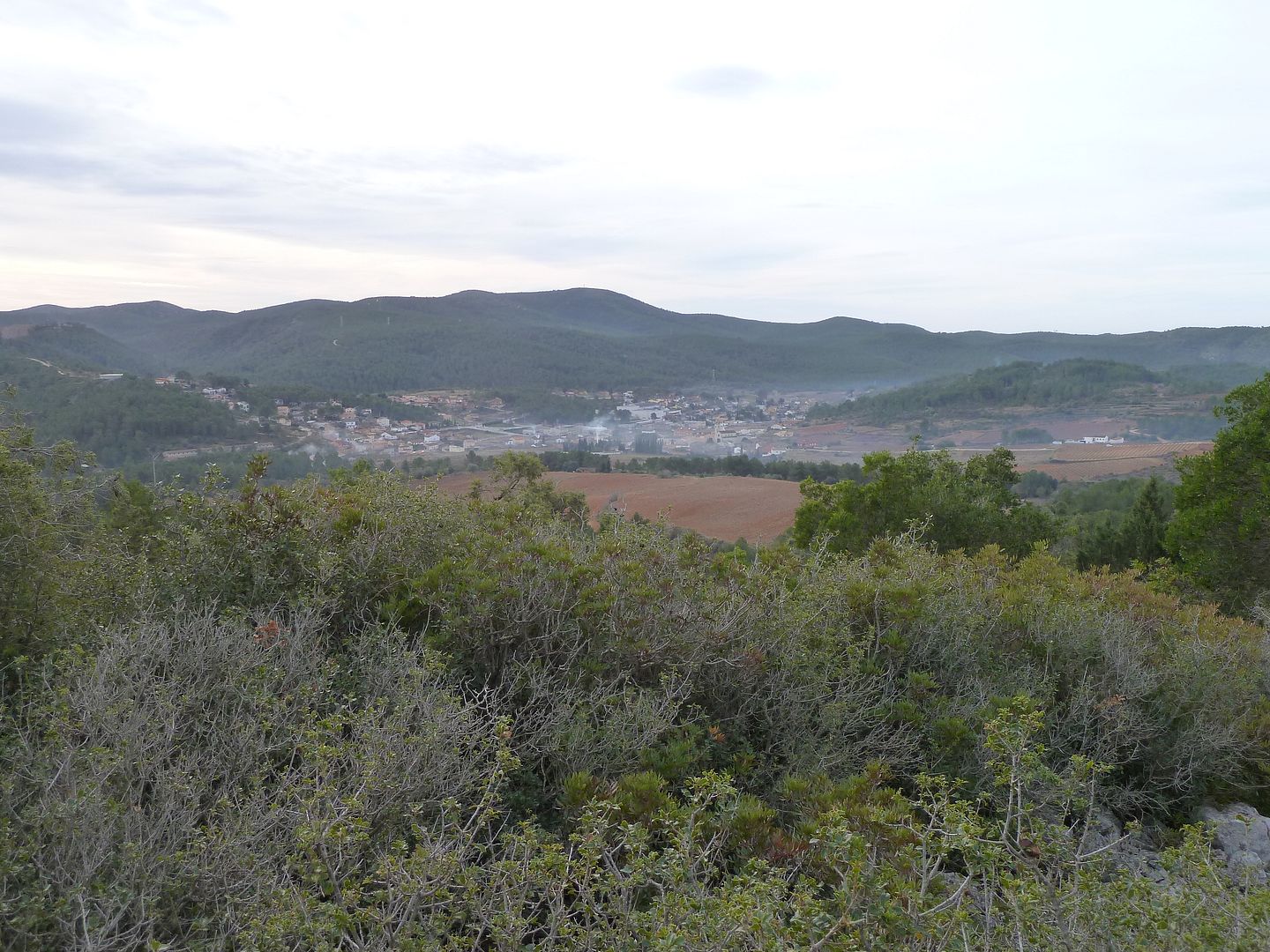 photo 2013-01-27-07ValldOlesa.jpg