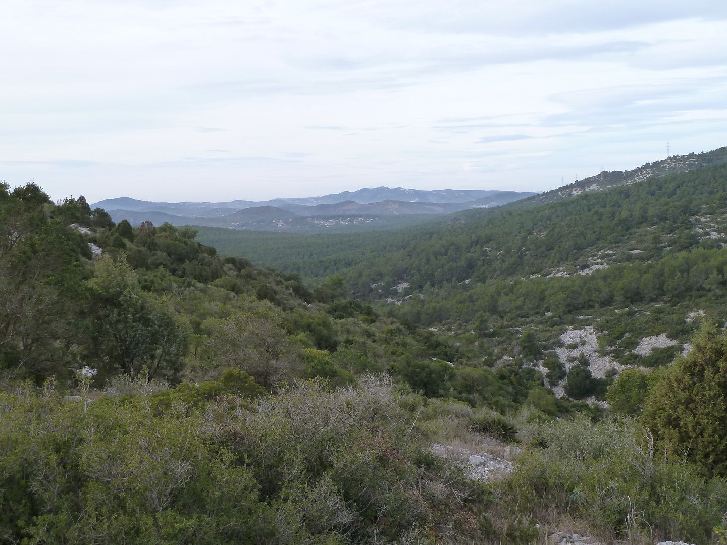 photo 2013-01-27-08FondodeRemugadesdePladeCanyamars.jpg
