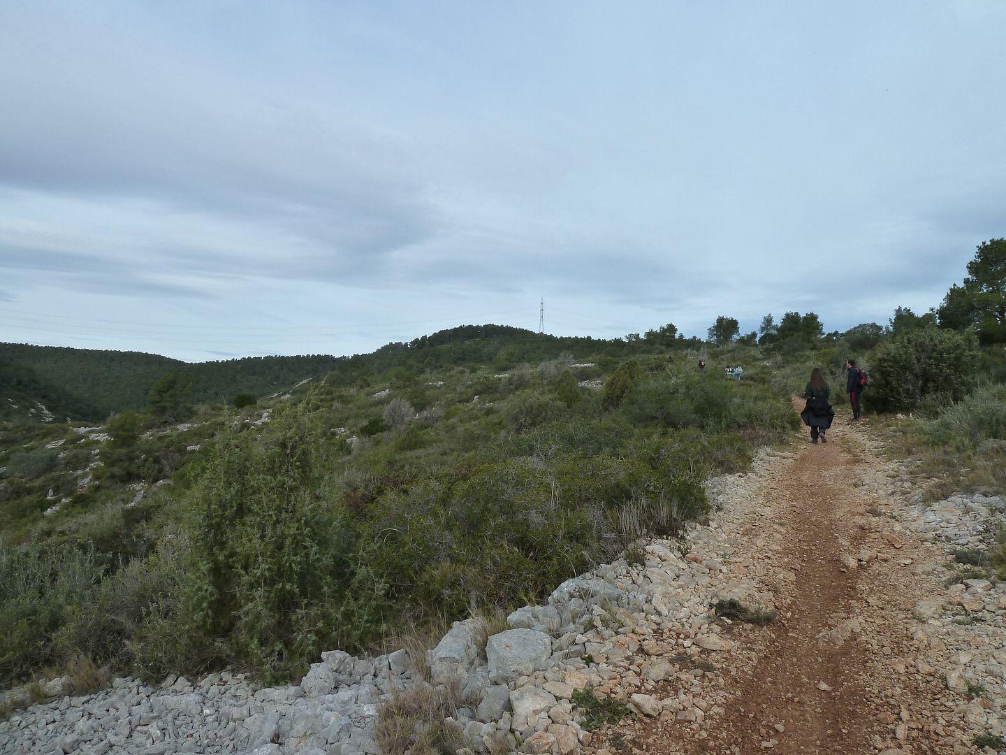 photo 2013-01-27-10PladeCanyamars.jpg