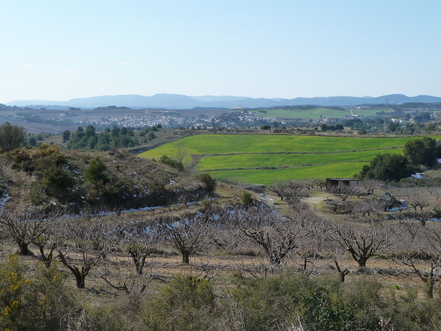 photo 2013-02-24-41MasquefaVallsdelAnoia.jpg
