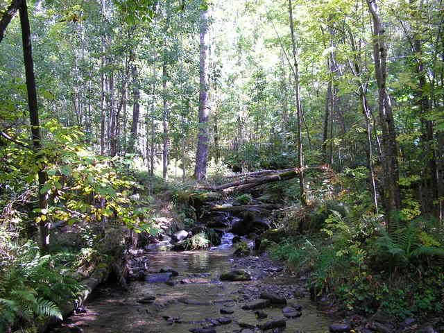 photo 129_32RiudAubiny.jpg