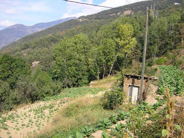 photo 129_46Tabac.jpg