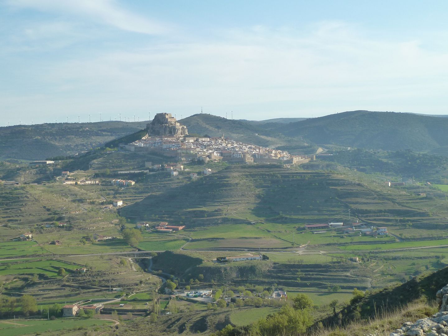 photo P1120384Morella.jpg