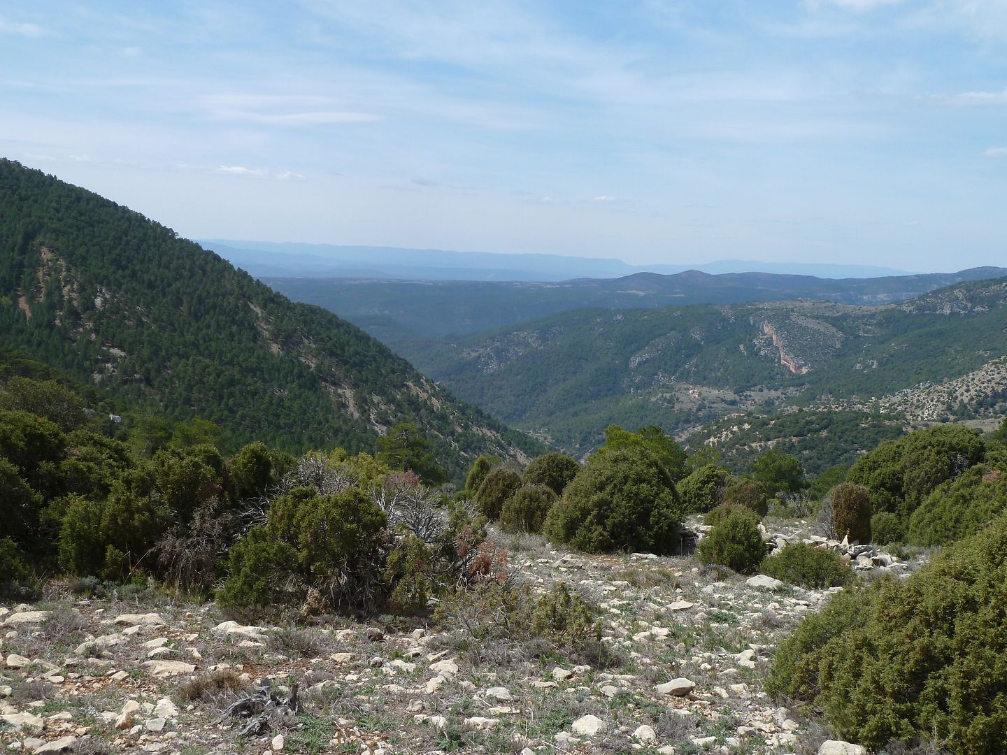 photo P1120651ValldelriuCarboacute.jpg