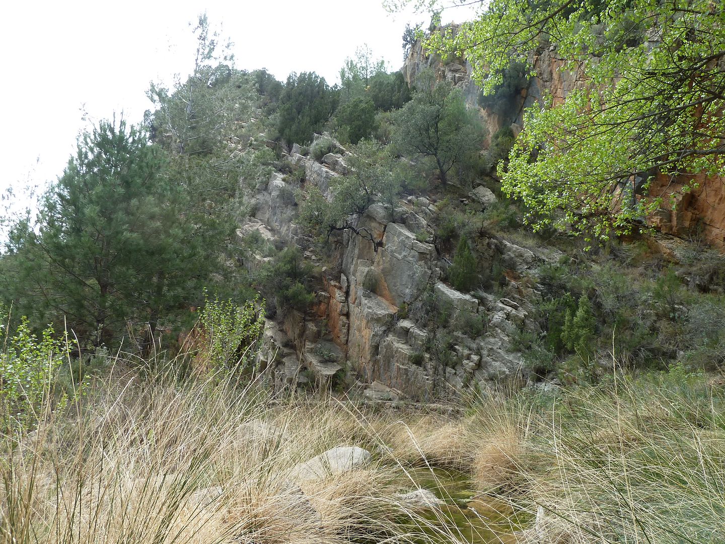 photo P1120676BarrancdelCarboacute.jpg