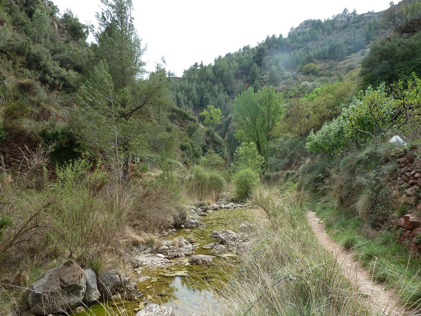 photo P1120683BarrancdelCarboacute.jpg