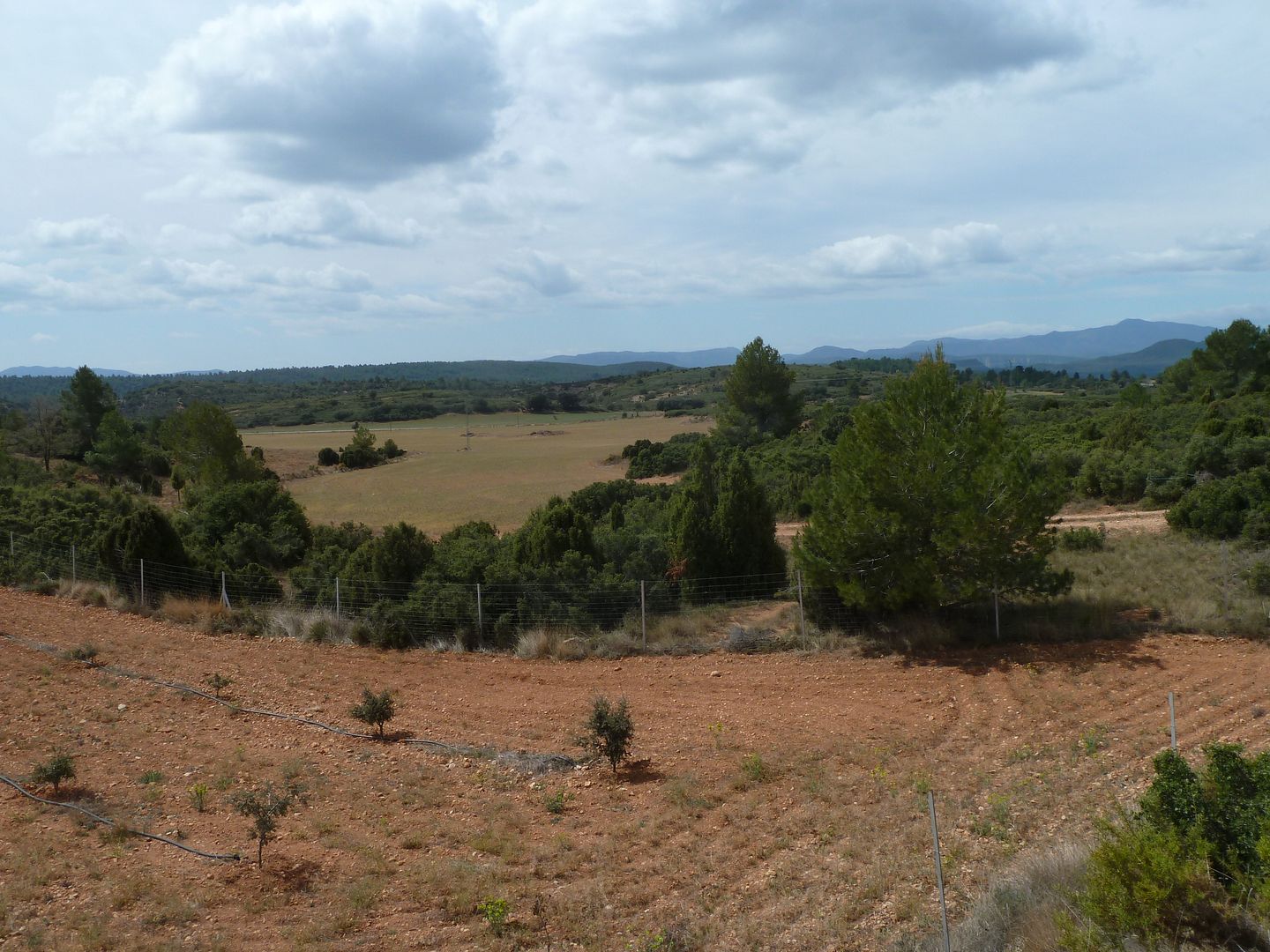 photo P1120718Javalambre.jpg