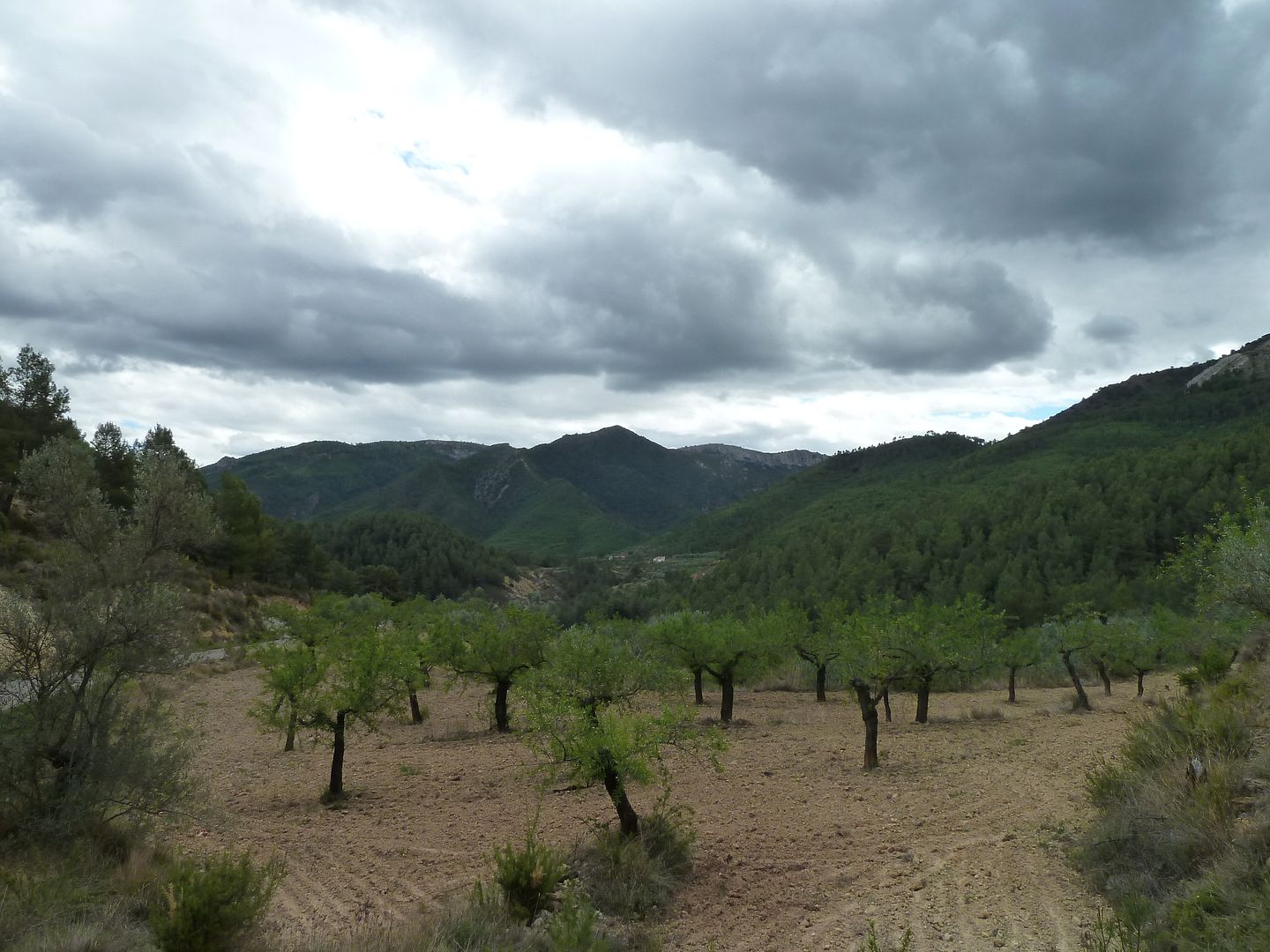 photo P1120785LomadeBorraylaPastora.jpg