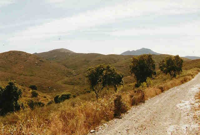 photo 92_02_090camimasbufadors.jpg