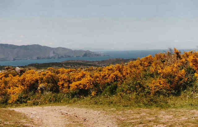 photo 92_02_100altacostabravadesdecapcreu.jpg