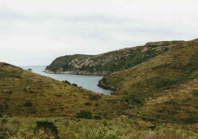 photo 92_03_080platjacanadell.jpg