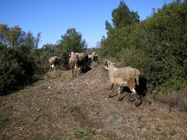 photo 03.jpg