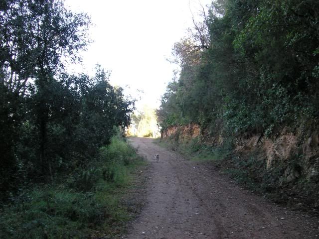 photo 04.jpg