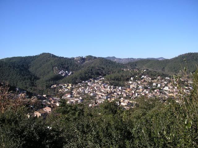 photo 05.jpg