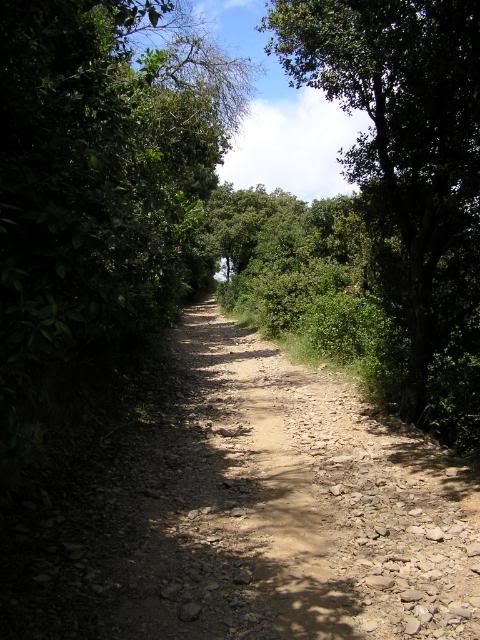 photo 07.jpg