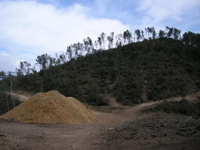 photo 17_b.jpg