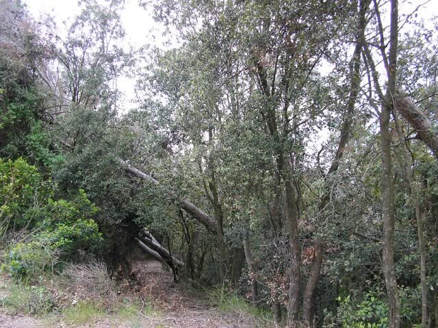 photo 19.jpg