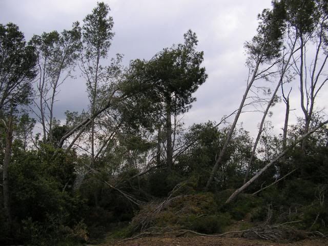 photo 20.jpg