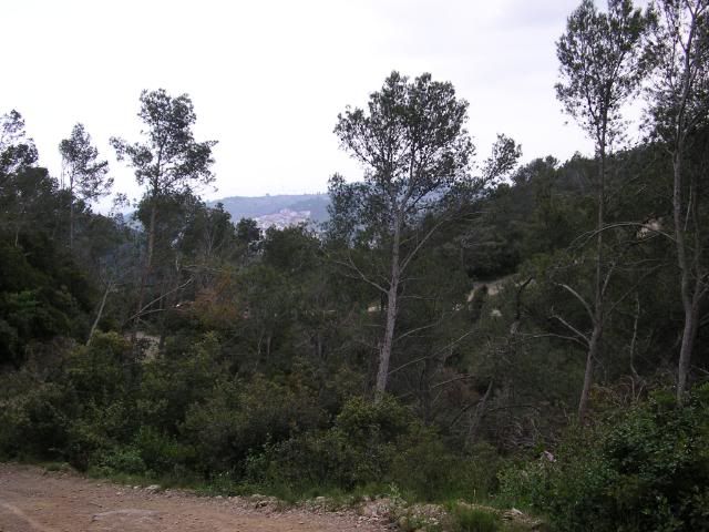 photo 21.jpg