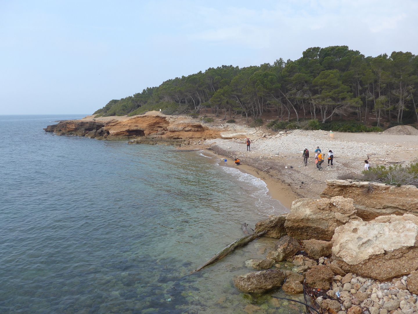 photo P1050945 Platja de Port Olivet.jpg