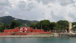 IMG_5554.jpg