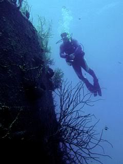 P1010658-2.jpg
