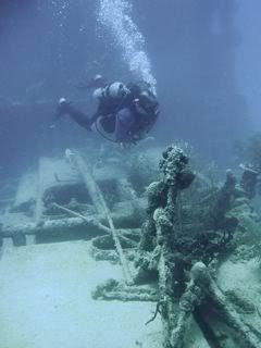 P1010744-2.jpg