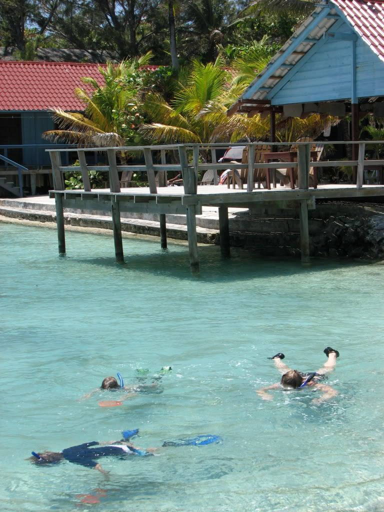 IMG_3633.jpg
