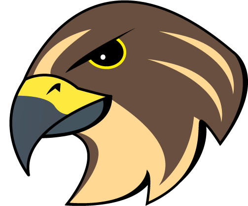 Falcons-logo-1.png