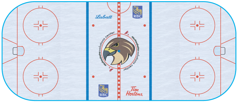 Falcons-rink-1.png