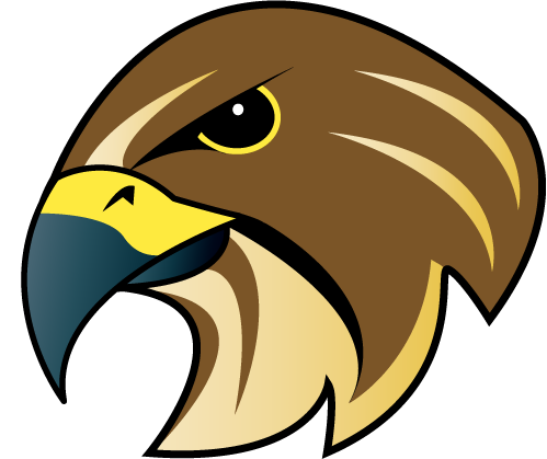 Forest-City-Falcons-primary-logo.png