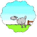 SHEEP JUMPING GIF