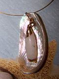 abalone-hand-plated-shell.jpg Abalone Tube Shell 14K image by SAPPHIRE_ICE_STUDIOS